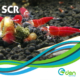 SCR-2